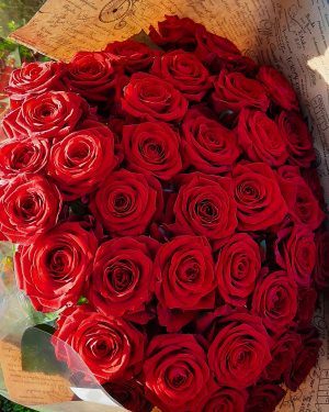 Rose rouge