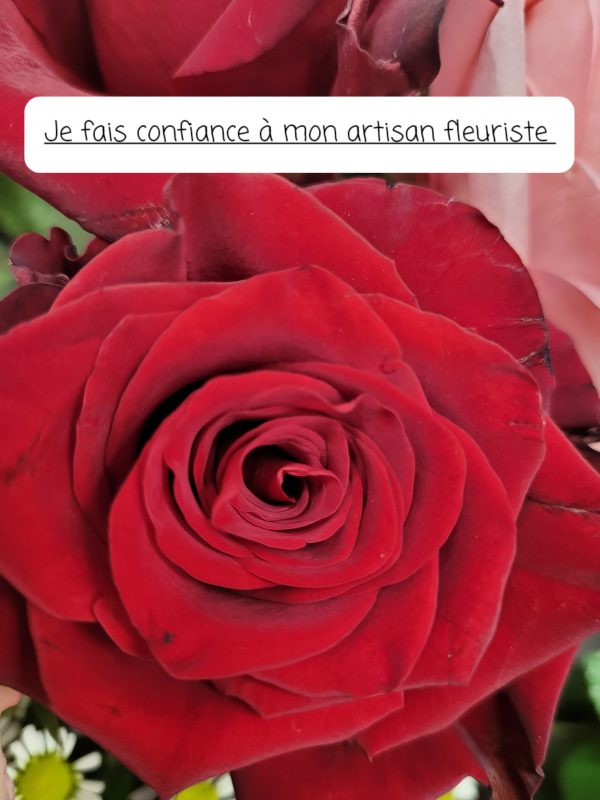 Rose rouge